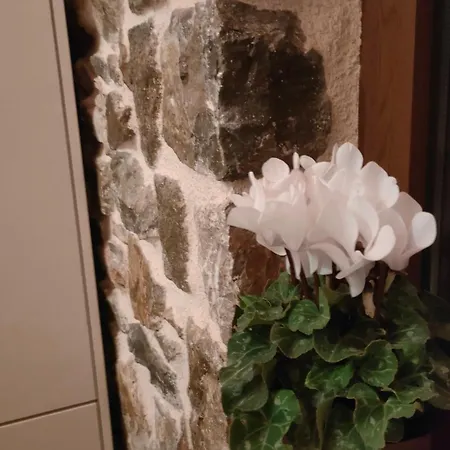 Village カントリーハウス