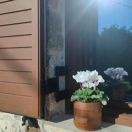 Country house Village *