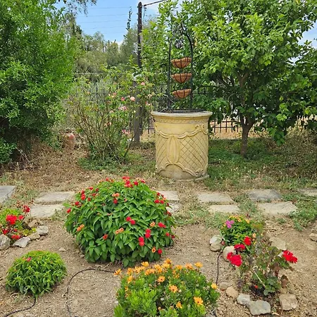 Village *