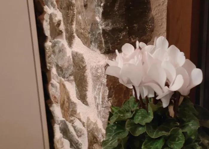 Village Casa de Campo